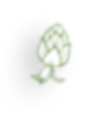slider-layer8 slider-layer8